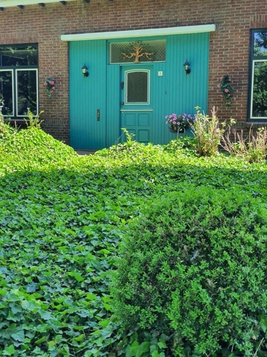 Bed and Breakfast De Vliegende Vlinder Nederweert Exterior foto