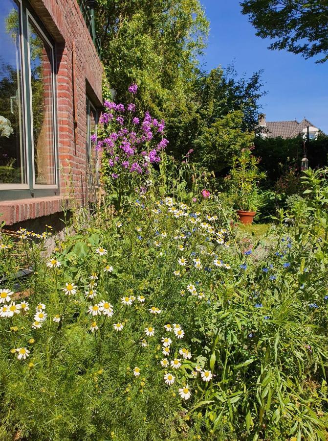 Bed and Breakfast De Vliegende Vlinder Nederweert Exterior foto